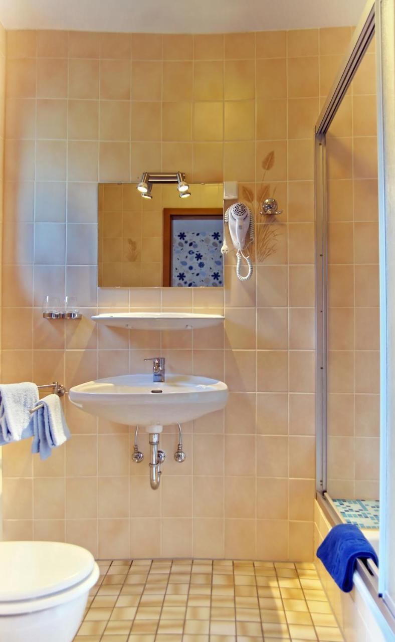 פרוידנברג Gasthof Schumacher Hotel Garni מראה חיצוני תמונה